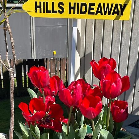 Hill'S Hideaway Otel Dargaville Dış mekan fotoğraf